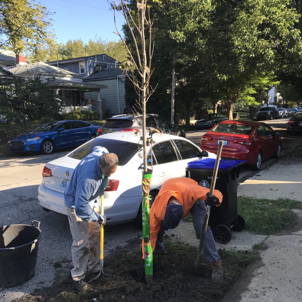 Neighborhood tree planting